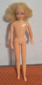 Bambola skipper vivente drammatica 1969 vintage  - Foto 1 di 16