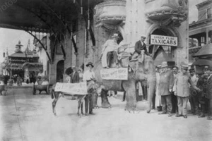 Coney Island NY Elefante y Burro 1900s Profesional Foto Laboratorio Reimpresión - Imagen 1 de 1