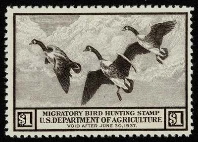 US Stamp Scott#RW3 $1 Back of Book Federal Duck Mint NH OG Well Centered - Image 1 of 2