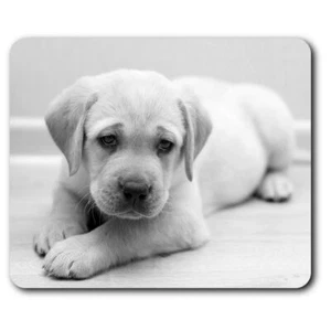 Rechteckige Maus Matte BW - Niedlicher Labrador Welpe Hund Spaß #38637 - Bild 1 von 8