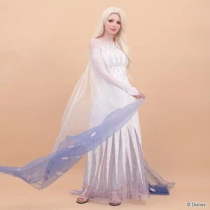 Disney Elsa Frozen 2 epilogue Cosplay Dress Woman secret honey Stage costume. - Picture 1 of 13