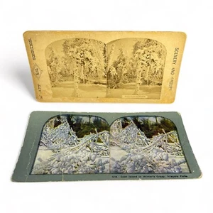 Stereoview Card Niagara Falls Lot of 2 Goat Island Winters Grasp Scenery Series - Picture 1 of 6