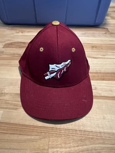 Florida State Seminoles Flex Fit Youth Baseball 97 - Picture 1 of 6