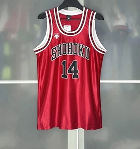 NUEVO CON ETIQUETAS AUTÉNTICO DESCENTE SLAM DARK MITSUI #14 CAMISETA DE BALONCESTO CONJUNTO DVD TALLA L - Imagen 1 de 6