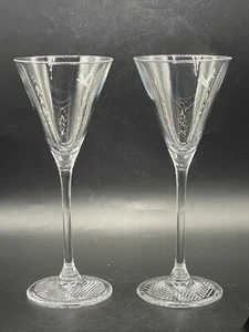 2 bicchieri da aperitivo trasparenti, in vetro, con oca smerigliata - Foto 1 di 12