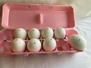 7 gros œufs blancs soufflés un trou pour Pysanky ~ artisanat ~ Pâques - Photo 1 sur 2