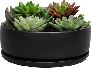 8 Inch Black Planter - Picture 1 of 6
