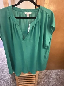Roz & Ali Flutter Sleeve Pleated Front V-Neck Kelly Green Top Size 2x Xxl - Picture 1 of 3