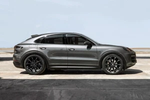 TE1 Bronze Felgen 9,5x 22 Zoll 5x110 ET28 Alfa Romeo Stelvio 949 bis 206kW P1 - Bild 1 von 6