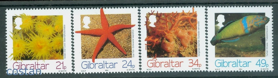 1994 Marine Animals,Turkish wrasse,star fish,Golden star coral,Gibraltar,696,MNH - Image 1 of 1