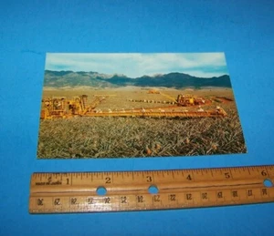 Ananasernte auf Hawaii Vintage Postkarte "König der Früchte" - Bild 1 von 2