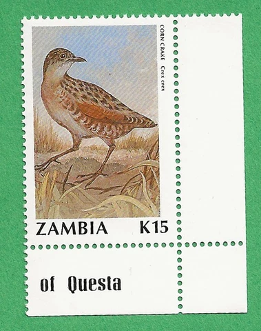 Zambia Scott 537 MNH 1991 Corn Crake stamp Cover