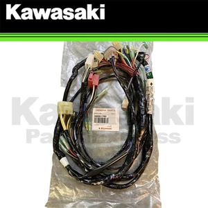 NUEVO 2001-2003 GENUINO KAWASAKI BAYOU 250 ARNÉS PRINCIPAL KLF220 BAYOU 26030-1760 - Imagen 1 de 8