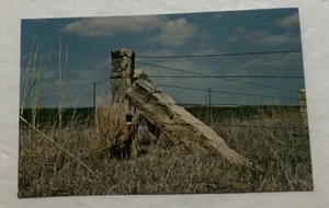 Posti calcarei con una personalità pioniera, Kansas. Cartolina (A2) - Foto 1 di 2