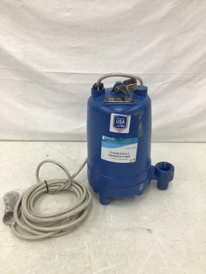GOULDS WATER TECHNOLOGY - RGS2012 Bomba amoladora 1PH 2HP 208/230V AC 42 gpm Foto 1 de 4
