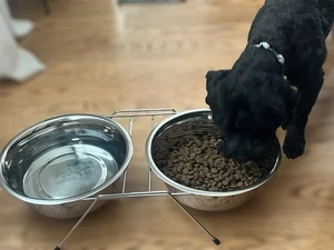 Stainless Steel Double Dog Cat Bowl Feeder with Stand – Food & Water Dish Set NW - Picture 1 of 8