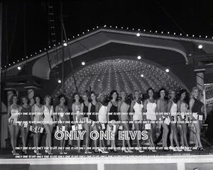 1963 Parque de atracciones Palisades sexy concursantes de belleza (FOTO) - Imagen 1 de 1