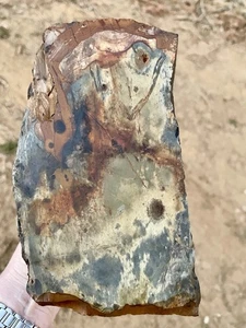 8 Pfund Blue Biggs Bild Jaspis Lapidar grob von Biggs, Oregon - Bild 1 von 5