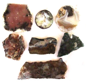 Moosachat Platte - 305 Gramm - Dendritisch - Verschiedenes 7 Stück - Bild 1 von 7