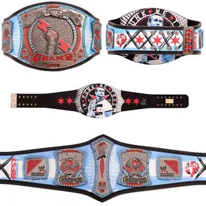 WWE CM PUNK 434 Day Signature Series Championship Replica Title Belt - Picture 1 of 7