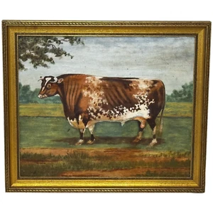 Victorian Oil Painting Portrait Prized Shorthorn Bull After Thomas Weaver - Picture 1 of 24