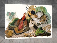 John James Audubon Ruffed Grouse Bird Canvas Painting Bird Print Art 1128