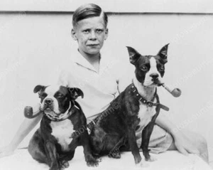Boy With Smoking Boston Terrier Dogs! Vintage 8x10 Reprint Of Old Photo - Picture 1 of 1