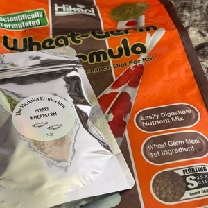 Hikari Wheatgerm Medaka Rice Fish Food / Protein 35 % / 50g / Koi Goldfish - Picture 1 of 5