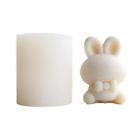 3D Easter Mold for Making Decor DIY Silicone Clay Soap