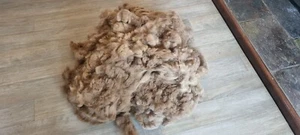 Rockleigh Alpacas - Alpaca Fleece - Fawn - Lindor - 700g - Picture 1 of 4