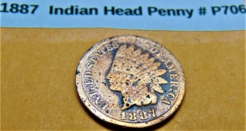 1887 Indian Head Penny # P706-Free Shipping Cover