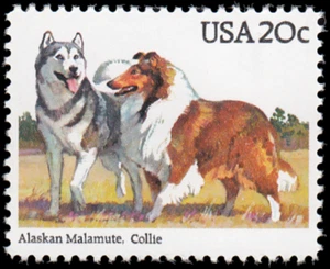 US Briefmarke #2100 - 1984 20¢ Alaskan Malamute and Collie, EzGrade™ F, postfrisch OG - Bild 1 von 3