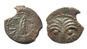 Judäa Marcus Ambibulus Präfekt unter Augustus AE Prutah 9 n. Chr. Clipped Flan - Bild 1 von 1