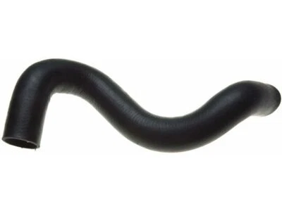 Manguera de radiador puertas inferiores para Ford F150 1995-1996 18827YWGF 5,8 L V8 gasolina Foto 1 de 2