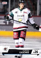 2015-16 German DEL2 #273 Florian Gaschke