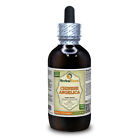 Chinese Angelica (Angelica Sinensis) Tincture, Organic Dried Root Liquid Extract