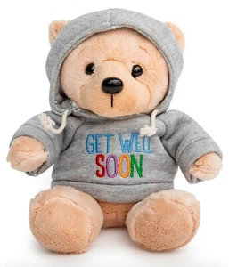 Ganz 9" Get Well Soon Teddy Bear with Gray Hoodie-Feel Better Gift NWT - Picture 1 of 9