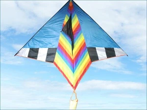 Cometa Arco Iris Grande 80" Divertido Juego Deporte/Línea Voladora K30 - Imagen 1 de 2