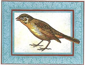 Lark Finch Bird Wood Mounted Rubber Stamp JUDIKINS, NEW - 3565H