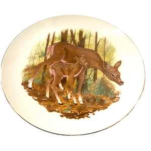 decorative collectible decor plate deer forest woods doe fawn - Picture 1 of 3
