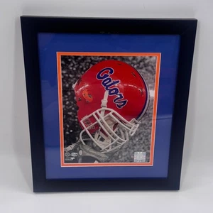 Florida Alligatoren gerahmtes Wandbild - lizenzierter Hochschuldruck - 13x15 - Bild 1 von 7