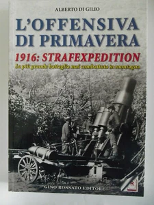 L'OFFENSIVA DI PRIMAVERA,1916 : STRAFEXPEDIONT, LA PIU' GRANDE BATTAGLIA MAI.... - Foto 1 di 4