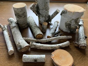 White Birch Pieces, Assorted Sizes, 12 Count - Picture 1 of 1