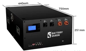 Bank energii Battery Queen (Seplos Mason 280) 14.4 kWh 51,2V 280Ah modułowy - Zdjęcie 1 z 5