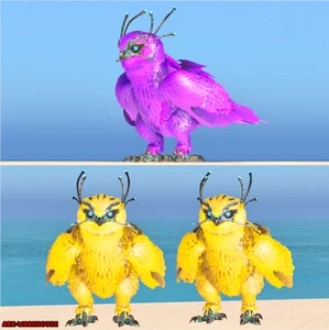 Top Stat Snow Owl Mating Pair - 6k Stam | Solid Colours - Ark Ascended PVE ASA - Picture 1 of 5