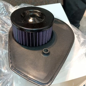 Harley Davidson Street XG750 Air Filter - Picture 1 of 4