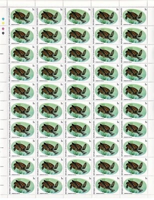 Maldives, 1980, Full Sheet of 50 MNH Stamps, Turtle, Sc. 841 - Image 1 of 2