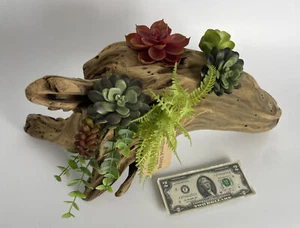 18x10x10” Natural Cypress Planter Art Beach Boho Rustic Succulents Air Plants - Picture 1 of 13