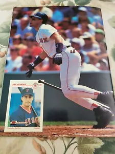 1992 PHIL PLANTIER POSTER COLOR 8 BY 11 INCHES RED SOX BOSTON FUTURE STARS - Picture 1 of 1