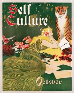 13546Decoration Poster.Vintage Wall interior design. Self culture.Tiger girl - Picture 1 of 1